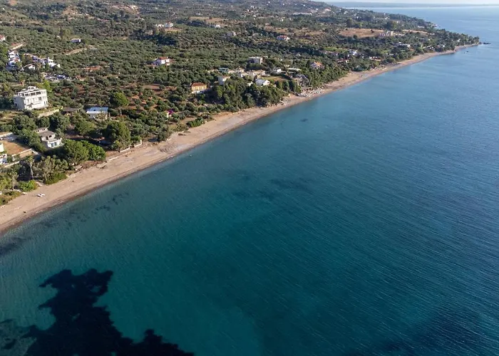 5 Meters From The * Chrani